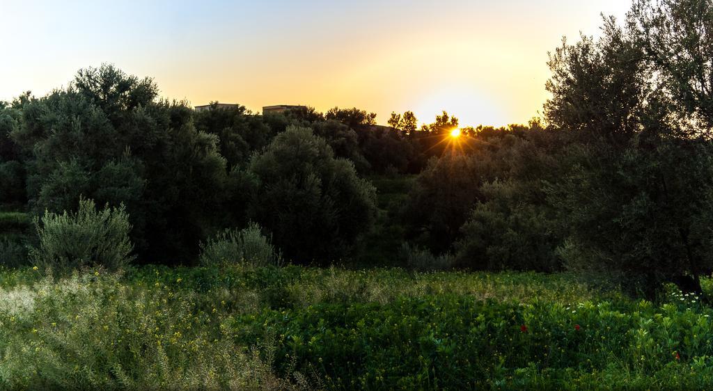 Riad Sougtani Tazrou Zewnętrze zdjęcie